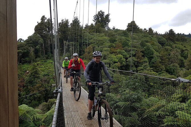 Timber Trail - Ongarue to Pureora Shuttle 2 Day Ride - Final Thoughts: Why You’ll Love the Timber Trail Experience