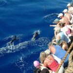 Time Travel on Columbus Replica Flag Ship in Madeira - The Practicalities