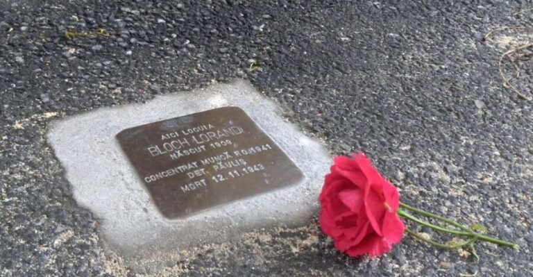 Timisoara: Jewish Heritage Walking Tour - A Deep Dive into the Timisoara Jewish Heritage Tour