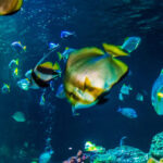 Timmendorfer Strand: SEA LIFE Behind the Scenes Tour - Summary and Final Thoughts