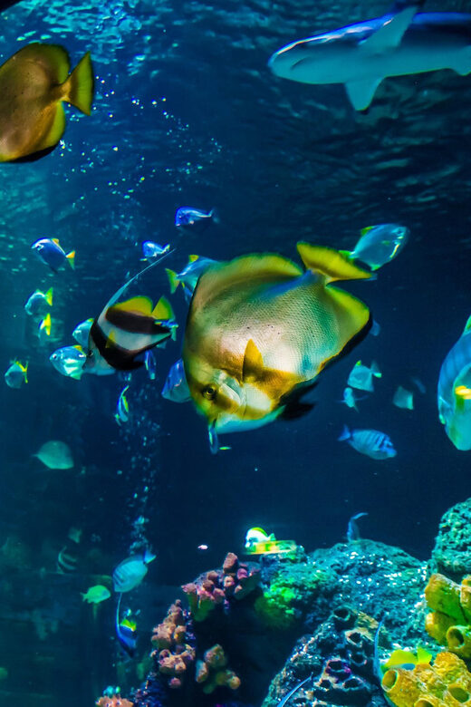 Timmendorfer Strand: SEA LIFE Behind the Scenes Tour - Summary and Final Thoughts