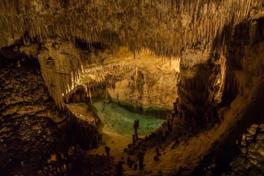 Tingo Maria: Mantle Cave - Who Should Consider This Tour?