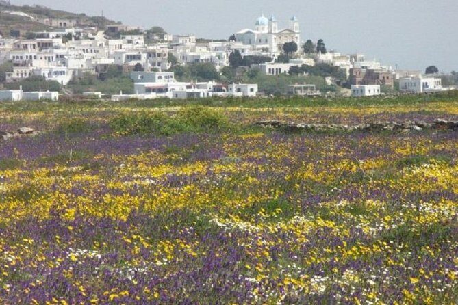 Tinos Island Tour from Mykonos - The Itinerary: What to Expect