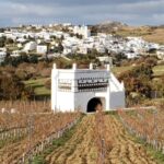 Tinos: Winery Tour and Wine Tasting Paired with Snacks - The Wines and Snacks: A Perfect Pairing