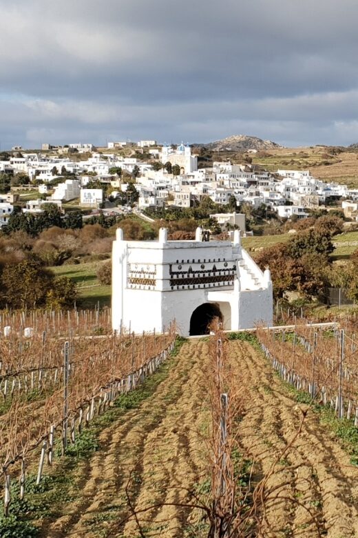 Tinos: Winery Tour and Wine Tasting Paired with Snacks - The Wines and Snacks: A Perfect Pairing