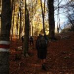 Tirana: Dajti National Park and Tujani Peak Hiking Tour - The Experience from a Traveler’s Perspective