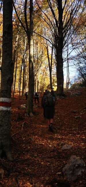 Tirana: Dajti National Park and Tujani Peak Hiking Tour - The Experience from a Traveler’s Perspective