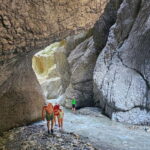 Tirana/Durres/Golem: Day Tour of Holta Canyon & Banja Lake - What to Expect and What You Should Bring