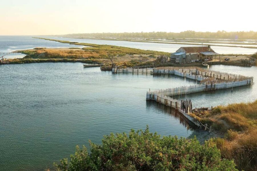 Tirana/Durres/Golem: Karavasta Lagoon Day Tour with Boat - Who Will Love This Tour?