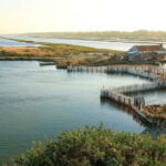 Tirana & Durres :Karavasta Lagoon & Apolonia with Breakfast - Key Points
