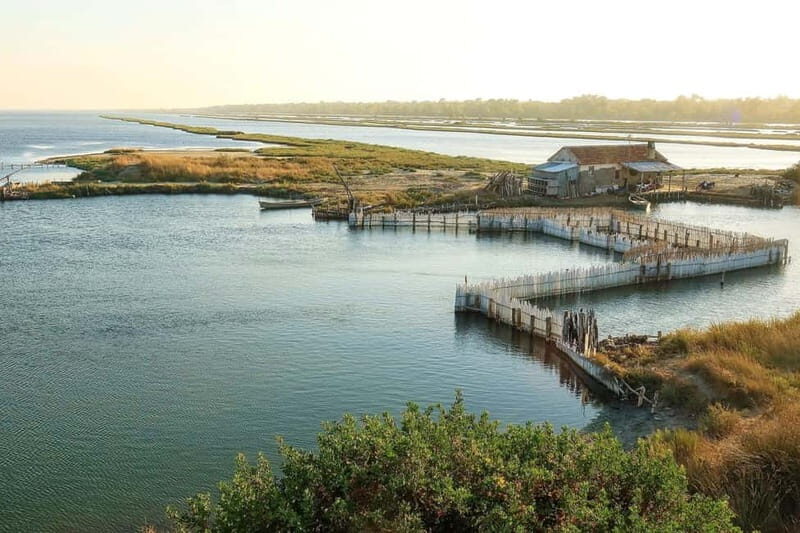 Tirana & Durres :Karavasta Lagoon & Apolonia with Breakfast - Key Points