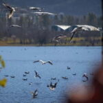 Tirana: Highlights Walking Tour of Historic Jewels - The Experience — What Really Matters