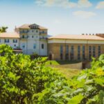 Tirana Lundra Winery Guided Tour with Wine Tasting - In-Depth Review of the Lundra Winery Guided Tour