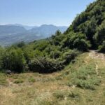Tirana: Petrelë, Shkalla e Çirmës, and Përsqop Hiking Tour - A Detailed Look at the Experience