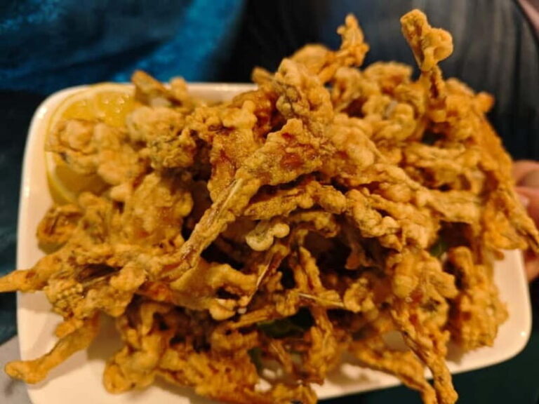 Tirana to Bylis & Apollonia: Private day trip - Exploring the Riches of Albania’s Past