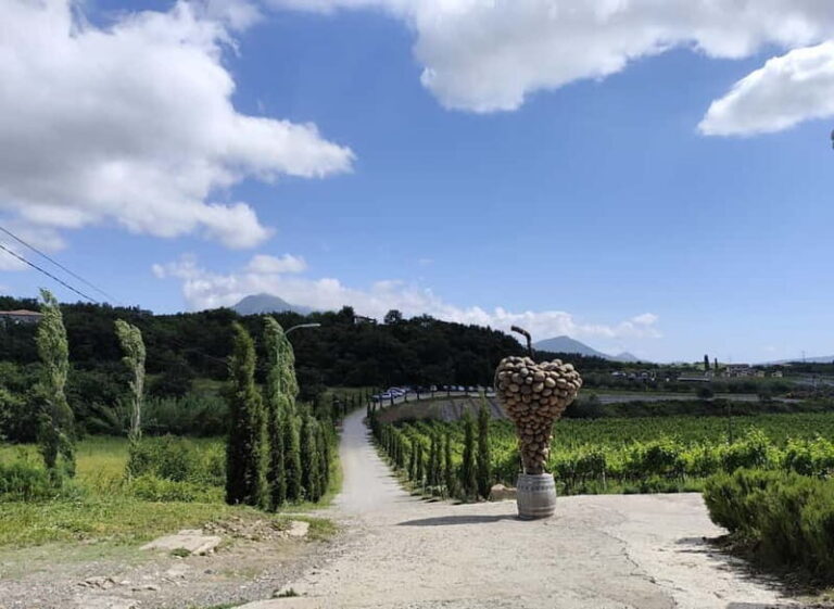 Tirana to Shkoder by Eden: Private day trip - The Sum Up