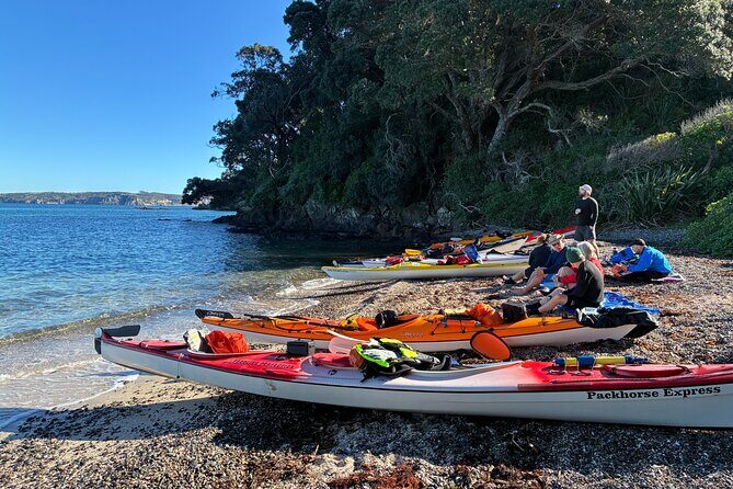 Tiritiri Matangi Sea Kayak Tour - Detailed Itinerary Breakdown