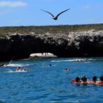 Title: Puerto Vallarta: Marietas Island Adventure - What to Expect: Practical Details