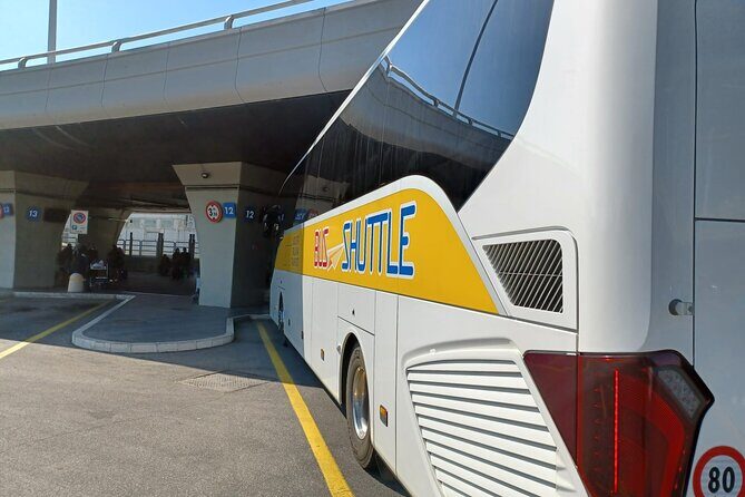 To & From Fiumicino Airport - Rome City Center Shuttle Bus - Who Will Benefit Most from This Service?