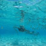 Toa Boat Bora Bora Private Lagoon Tour On Entertainer Bar Boat - Practical Tips for Your Bora Bora Lagoon Tour