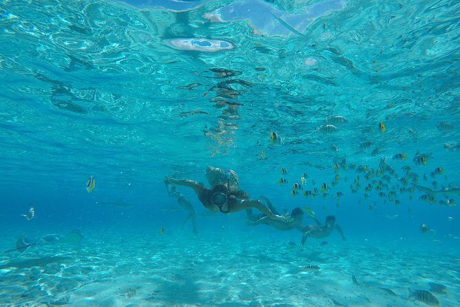 Toa Boat Bora Bora Private Lagoon Tour On Entertainer Bar Boat - Practical Tips for Your Bora Bora Lagoon Tour