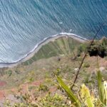Toboggan Ride & Madeira Wine Tasting Tour - Who Will Enjoy This Tour?