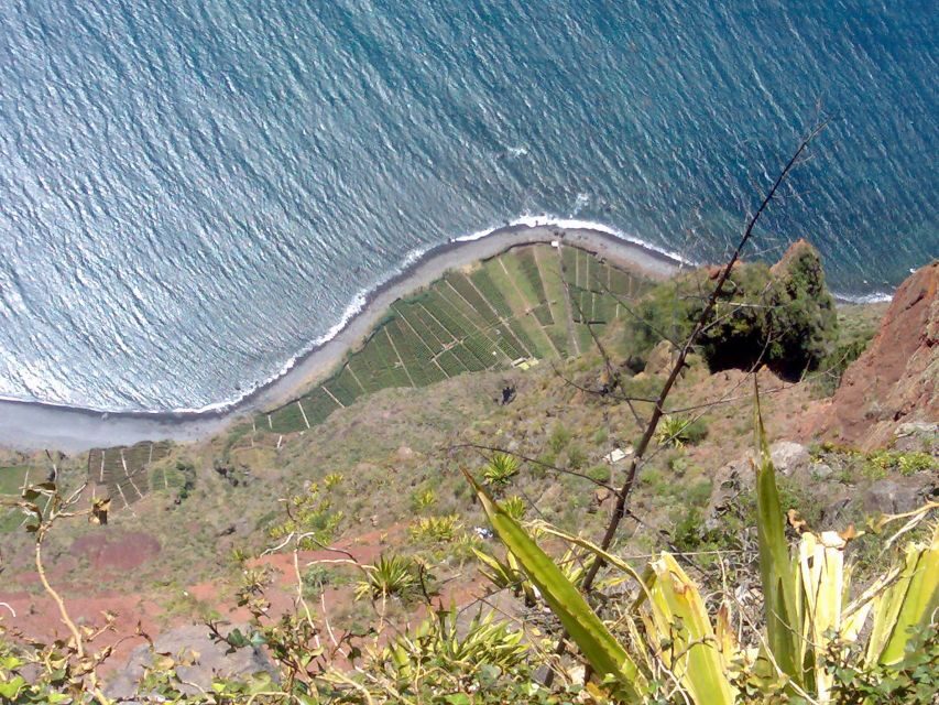 Toboggan Ride & Madeira Wine Tasting Tour - Who Will Enjoy This Tour?