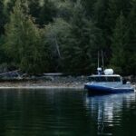Tofino: Bear Watching Boat Tour with Nature Guide - Who Should Book This Tour?