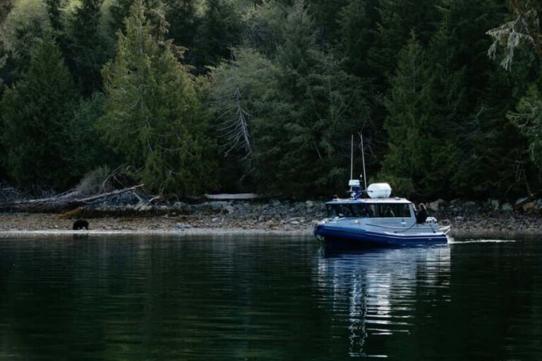 Tofino: Bear Watching Boat Tour with Nature Guide - Who Should Book This Tour?