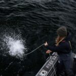 Tofino: Private Boat Tour with Big Tree Trail & Crabbing - The Itinerary and What It Means for You