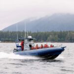 Tofino: Whale Watching Tour with Nature Guide - An In-Depth Look at the Tofino Whale Watching Experience