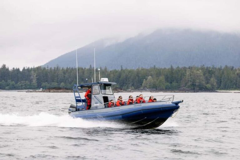 Tofino: Whale Watching Tour with Nature Guide - An In-Depth Look at the Tofino Whale Watching Experience
