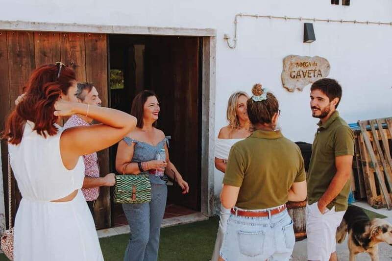 Tomar: Vineyard Tour with Tastings - Group Size, Guides, and Languages