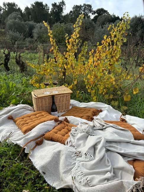 Tomar: Wine Picnic for Two - Final Thoughts: Is It Worth It?
