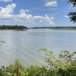 Tombs of Savannah: Bonaventure Cemetery Experience - Exploring Bonaventure Cemetery: What You Can Expect