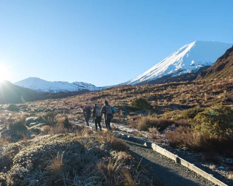 Tongariro Alpine Crossing: Premium Guided Hike - The Route and Scenic Highlights