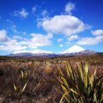 Tongariro Discovery Walk - Why This Tour Offers Excellent Value