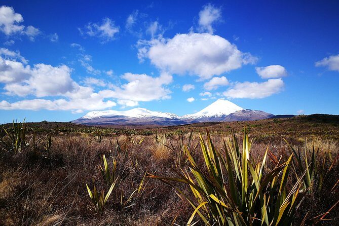 Tongariro Discovery Walk - Why This Tour Offers Excellent Value