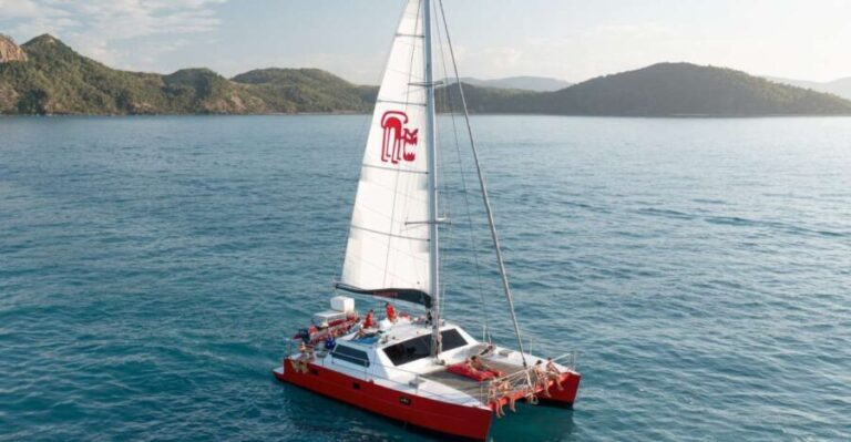 Tongarra: All-Inclusive Day Sail - Why This Tour Stands Out