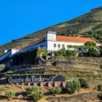 Top Douro from Porto: walk + visit + wine tasting + picnic - Practical Details and What to Keep in Mind