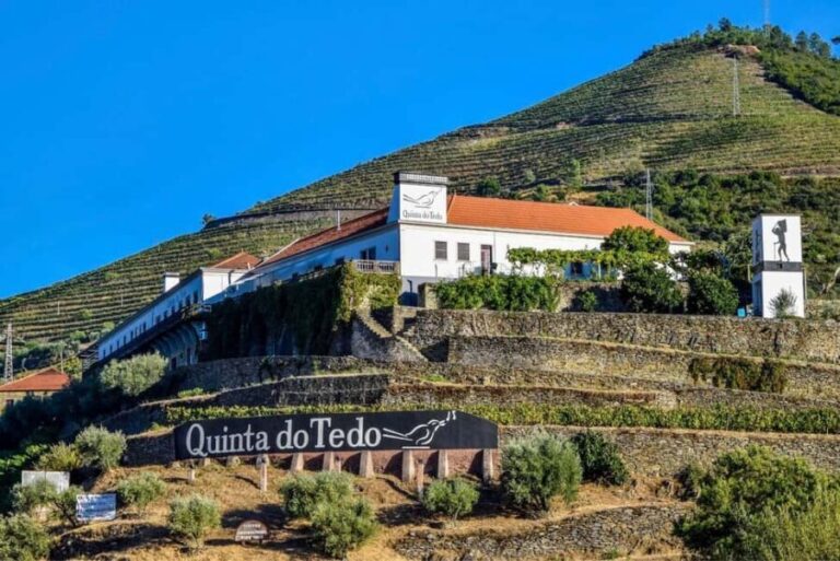 Top Douro from Porto: walk + visit + wine tasting + picnic - Practical Details and What to Keep in Mind