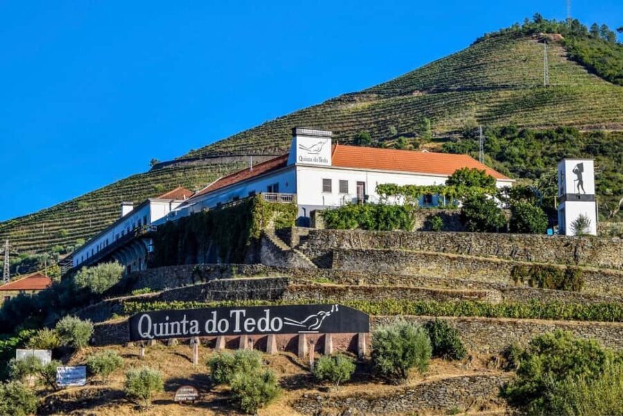 Top Douro from Porto: walk + visit + wine tasting + picnic - Practical Details and What to Keep in Mind