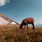 Top of Innsbruck: Roundtrip Cable Car Ticket - Scenic Ascent to Hungerburg and Seegrube