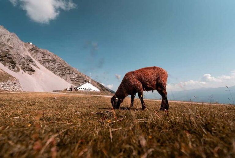 Top of Innsbruck: Roundtrip Cable Car Ticket - Scenic Ascent to Hungerburg and Seegrube