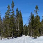 Top of Oslo Snowshoe Tour - Final Thoughts