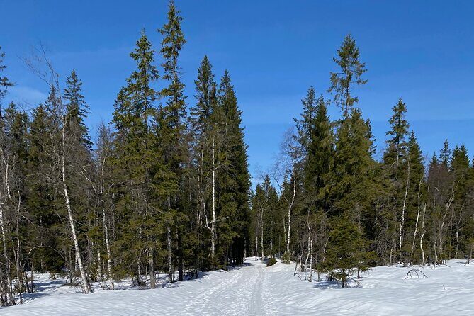 Top of Oslo Snowshoe Tour - Final Thoughts