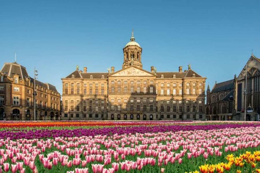 Top Skydeck Fast-Track Tickets, Amsterdam Viewpoint Tour - Key Points