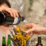 TOP TRUFFLES & WINE - Hunting & Tasting in Istria, Slovenia - The Sum Up