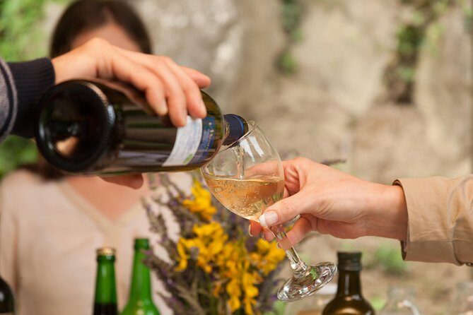 TOP TRUFFLES & WINE - Hunting & Tasting in Istria, Slovenia - The Sum Up