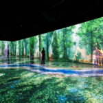 Toronto: Arcadia Earth, Immersive Experience Anytime Ticket - An In-Depth Look at Arcadia Earth Toronto